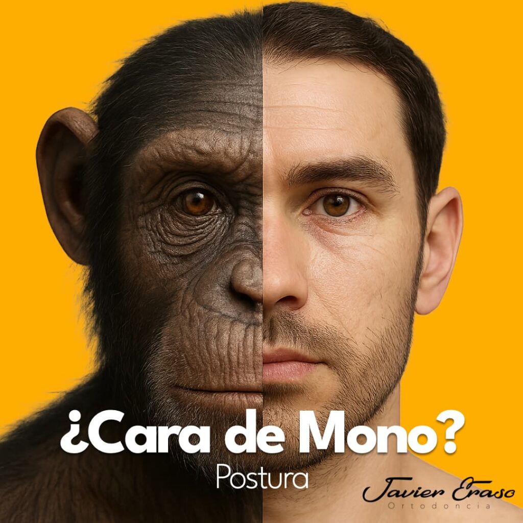 Mitad cara de primate y mitad humana mostrando cómo la postura afecta el rostro.