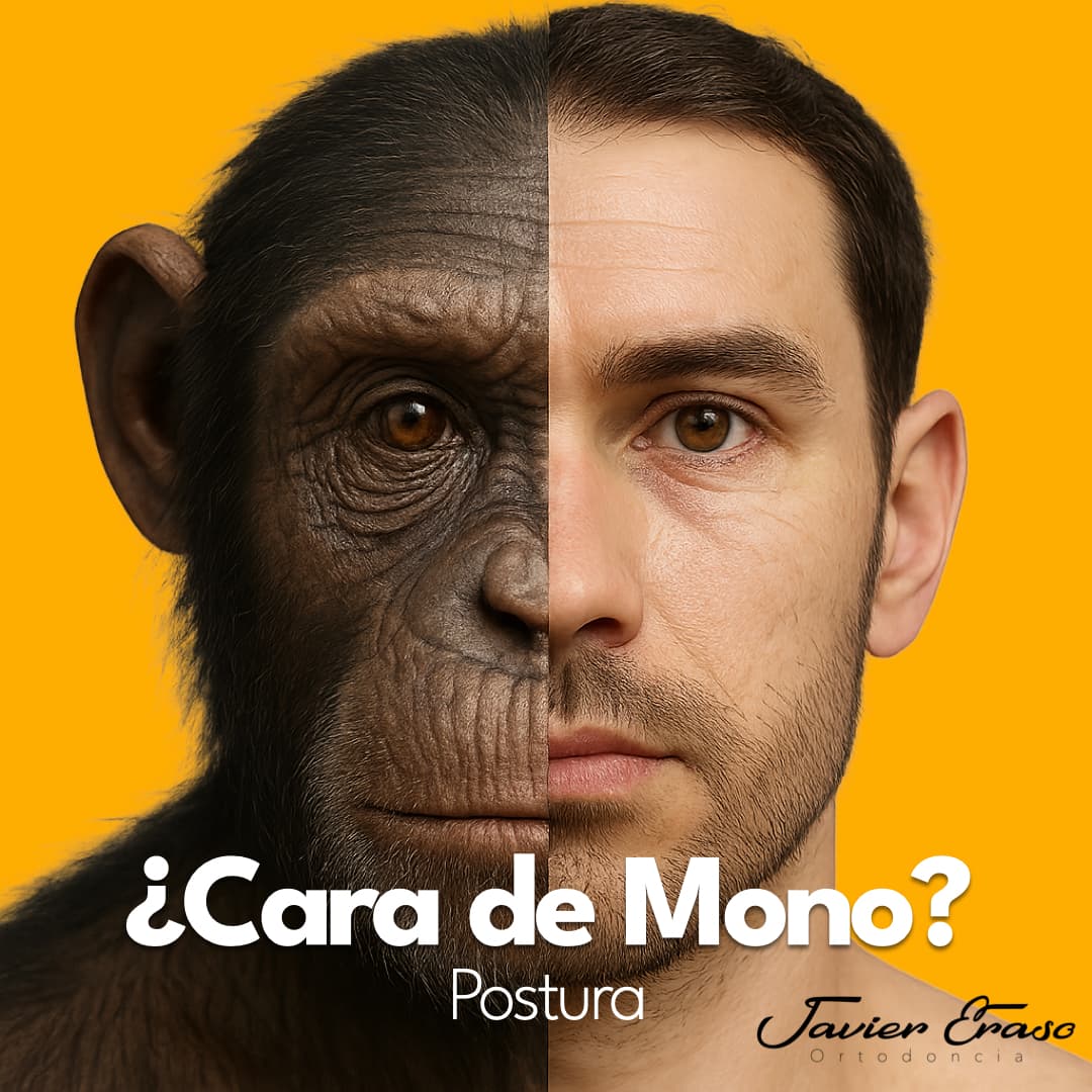 Mitad cara de primate y mitad humana mostrando cómo la postura afecta el rostro.